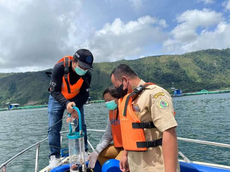 5 Langkah Penting Menjaga Kesehatan Budidaya Ikan Tilapia Regal Springs Indonesia